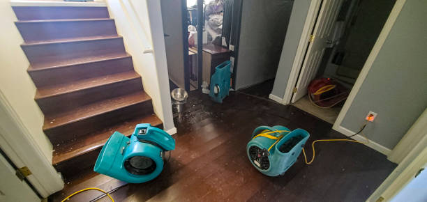 Best Flooded house restoration  in Granville South, OH