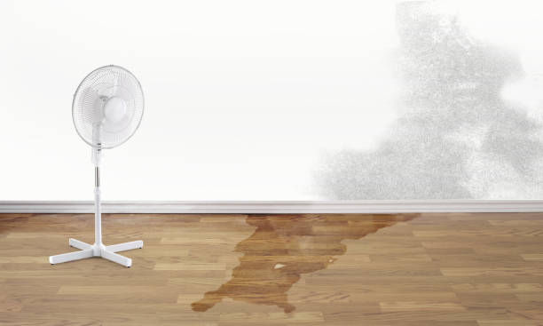 24/7 water damage repair in Granville South, OH