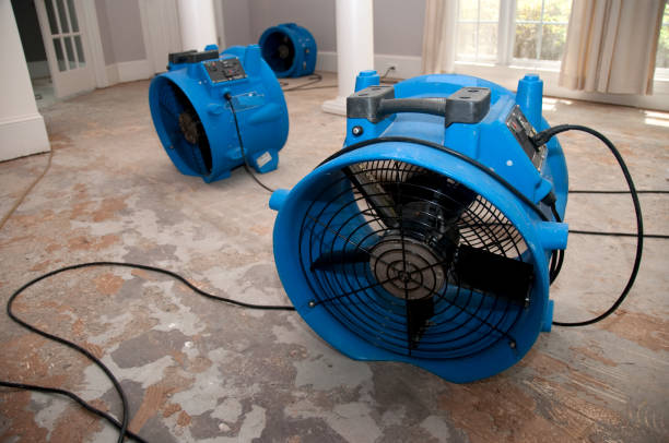 Best Water damage restoration near me  in Granville South, OH
