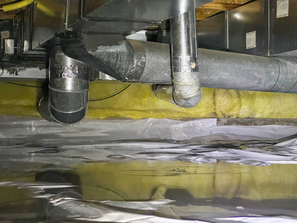 Best Professional water damage repair  in Granville South, OH
