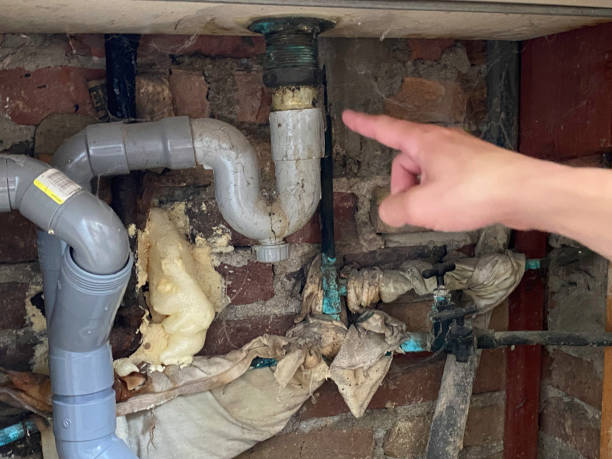 Best Sewage cleanup and water damage restoration  in Granville South, OH
