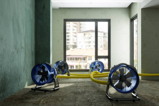 Best Ceiling water damage repair  in Granville South, OH